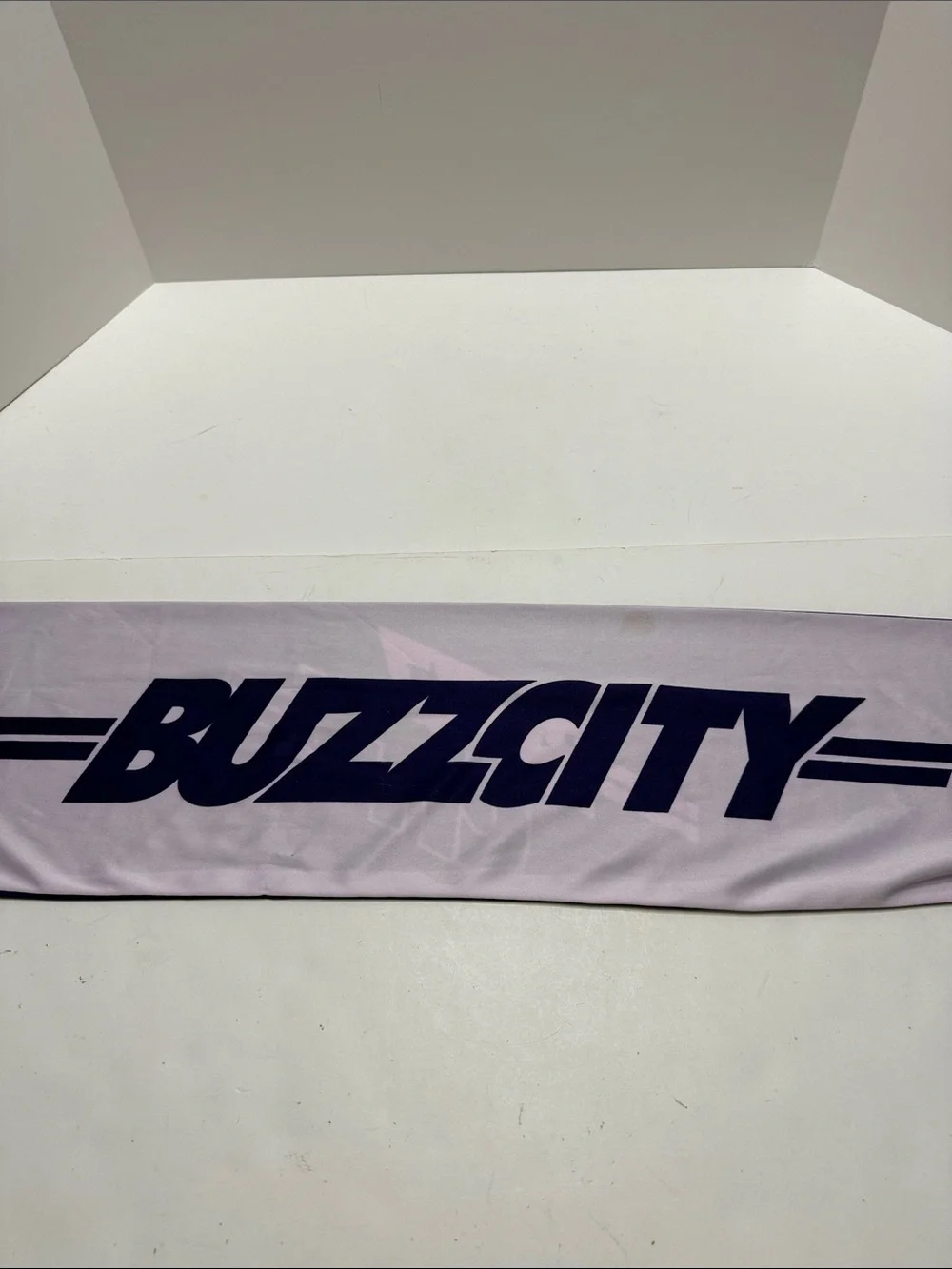 City Buzz Light Lavender Fringe Scarf with Soft White Tassels